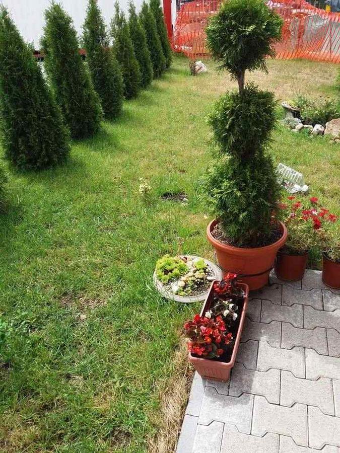 Lufi Penthouse Apartment Zlatibor Ngoại thất bức ảnh